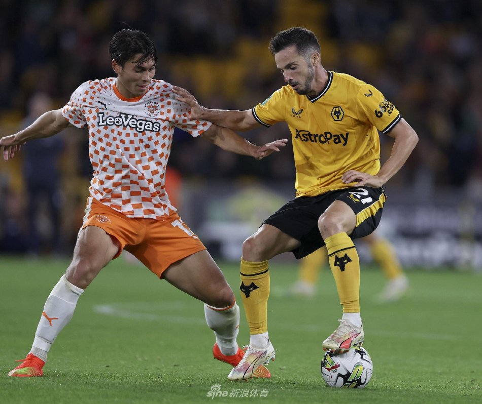 疑是一个打 疑是一个打